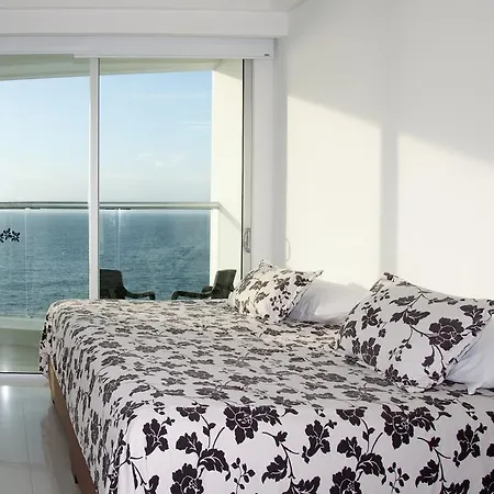 Ocean Front Palmetto Eliptic Cartagena