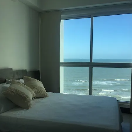 Ocean Front Palmetto Eliptic *