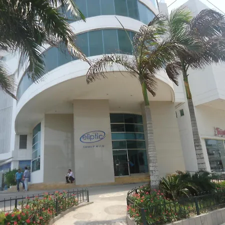 Ocean Front Palmetto Eliptic *