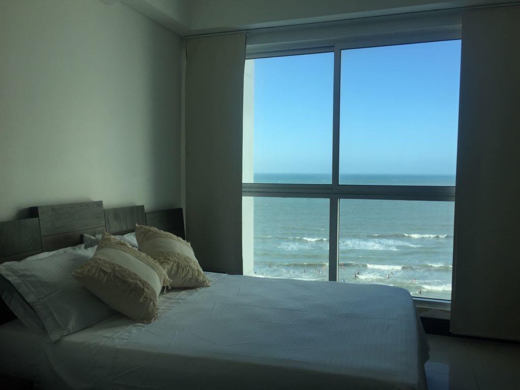 Ocean Front Palmetto Eliptic *