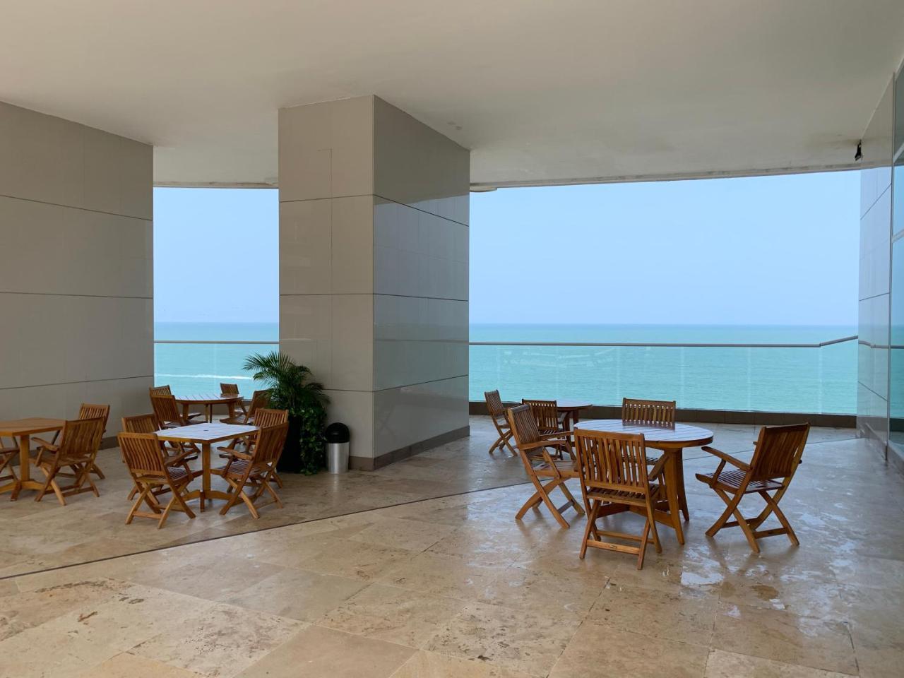 Ocean Front Palmetto Eliptic *